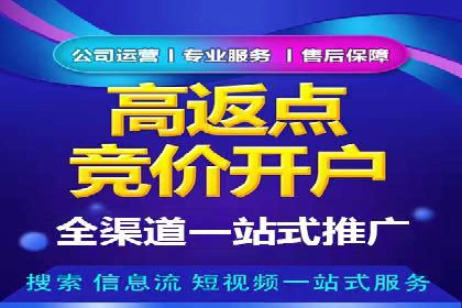 百度广告推广助力电商行业案例分析